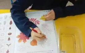 Ciekawy Świat Przedszkolaka - Zajęcia przyrodnicze 22