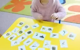 Ciekawy Świat Przedszkolaka - Zajęcia przyrodnicze 26