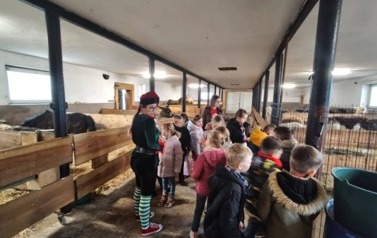 Alpakowy zawr&oacute;t głowy  4