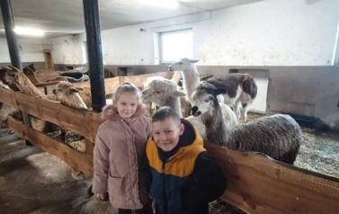 Alpakowy zawr&oacute;t głowy  5