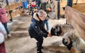 Alpakowy zawr&oacute;t głowy  3